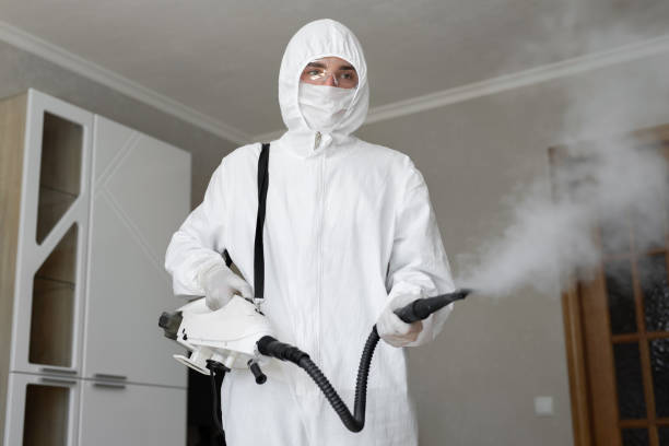 Why You Should Choose Our Mold Remediation Services in West Ishpeming, MI